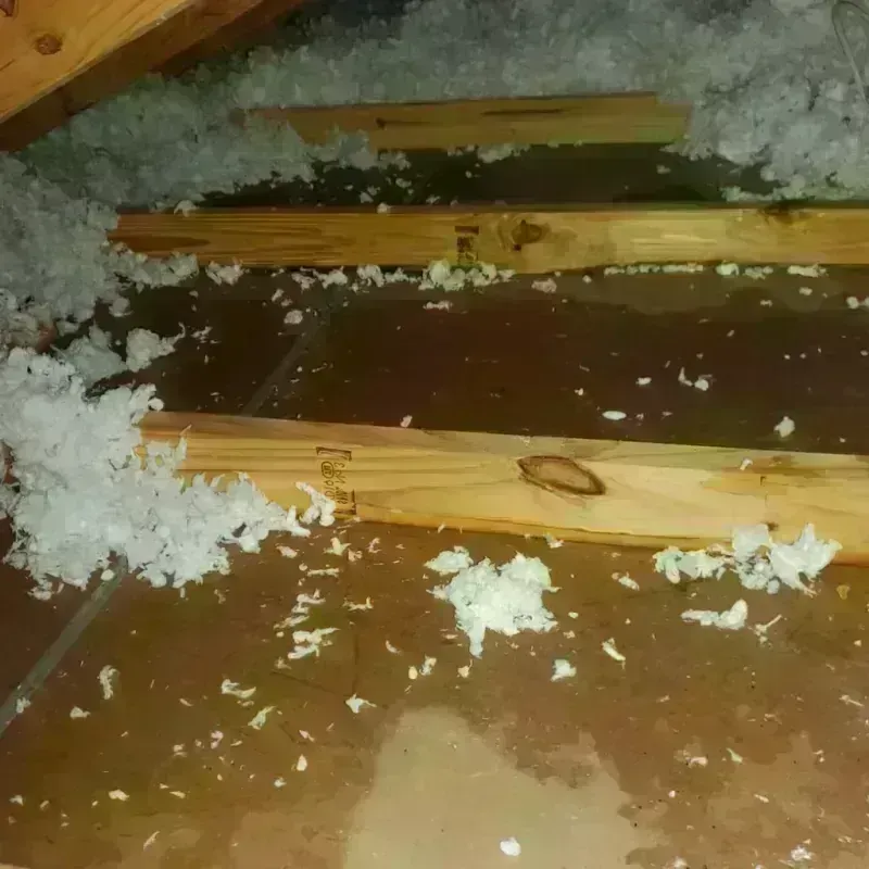 Attic Water Damage in Salineville, OH